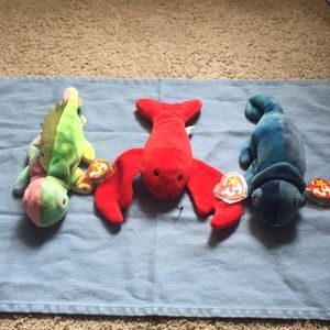 Rainbow and iggy beanie baby chameleon